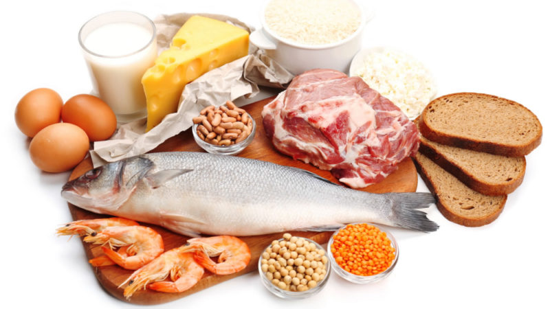 Продукты с большим содержанием белка: таблица высокобелковых продуктов растительного и животного происхождения