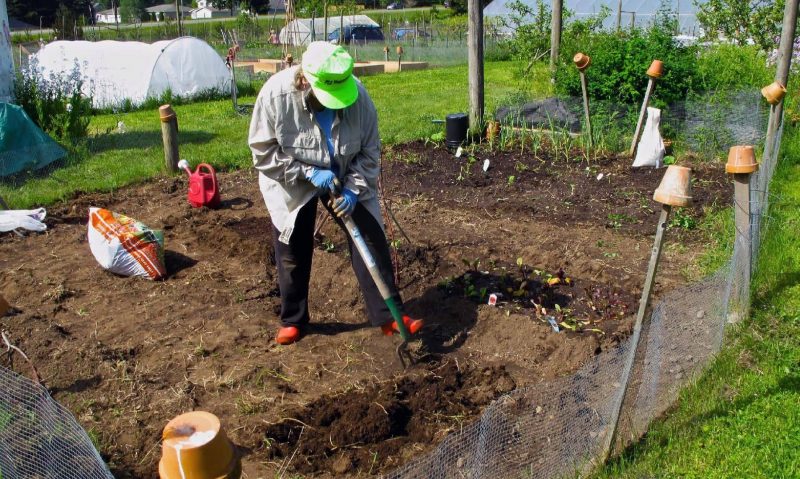 Удобрения для сада и огорода: список органических, минеральных и комплексных удобрений, применение весной и осенью