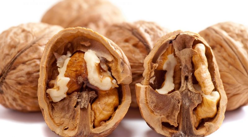 Перегородки грецких орехов – лечебные свойства и противопоказания, рецепты настоек и отваров
