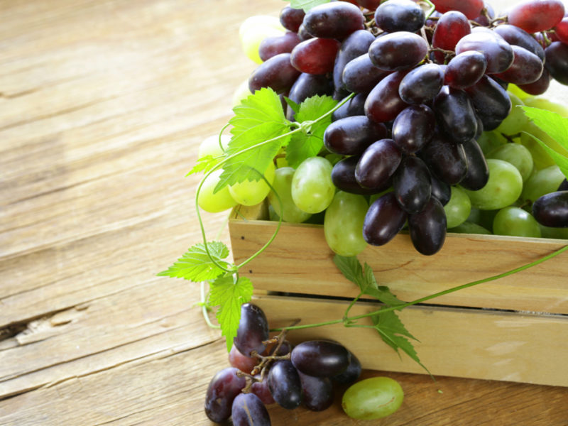 Сколько калорий в винограде разных сортов, полезные свойства ягод, можно ли есть при похудении