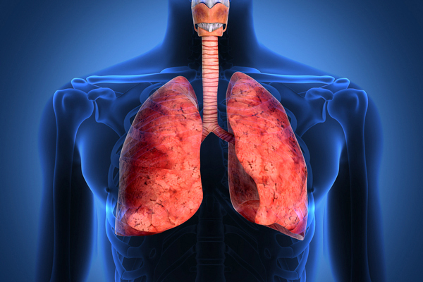 Пневмония: виды, симптомы и лечение у взрослых и детей, профилактика воспаления легких