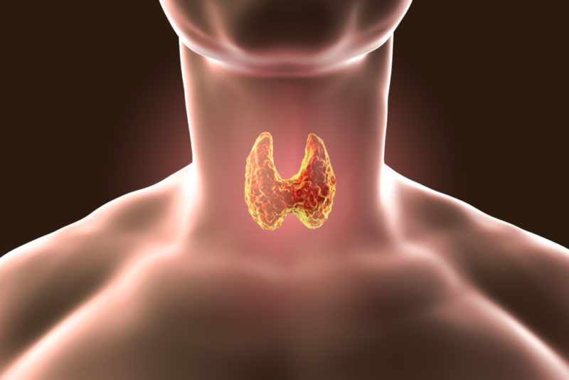 Сцинтиграфия щитовидной железы: что это за исследование, как проводится, показания и противопоказания, подготовка к обследованию