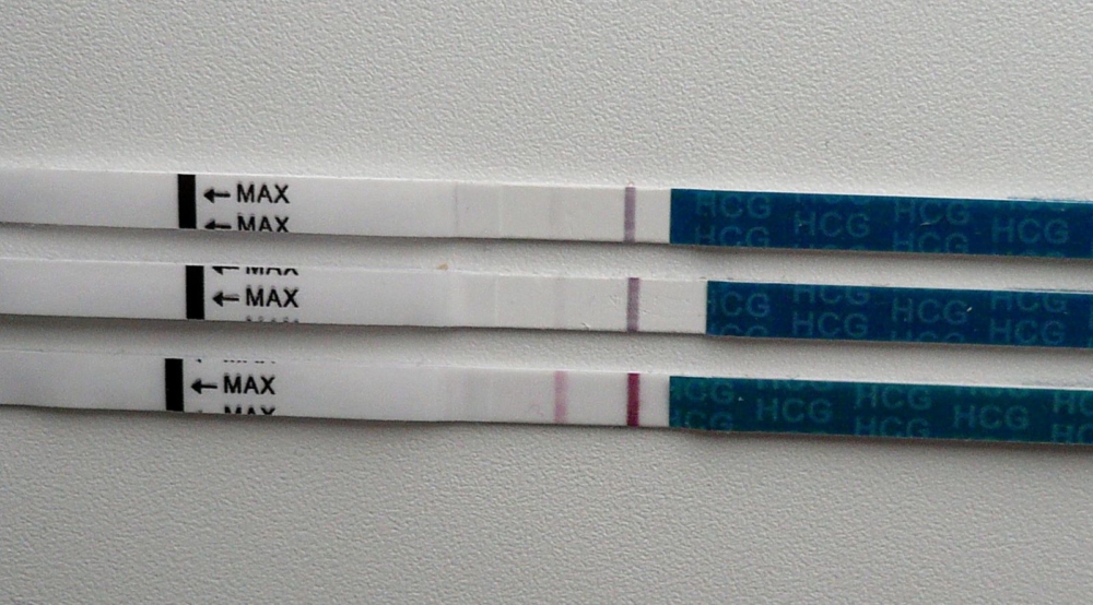 Эвитест: виды, инструкция по применению домашних тестов на беременность и овуляцию
