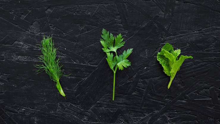 Полезные свойства и противопоказания петрушки b375x6gtfs0y80af3p