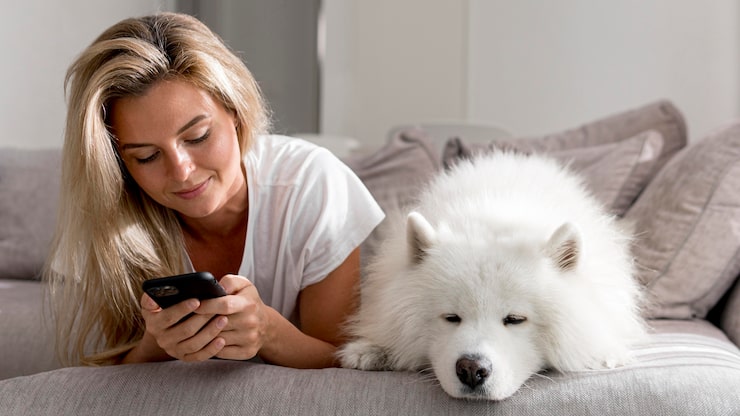 Что значит видеть собаку во сне: толкование сновидений c1e19b6572tnijorq9