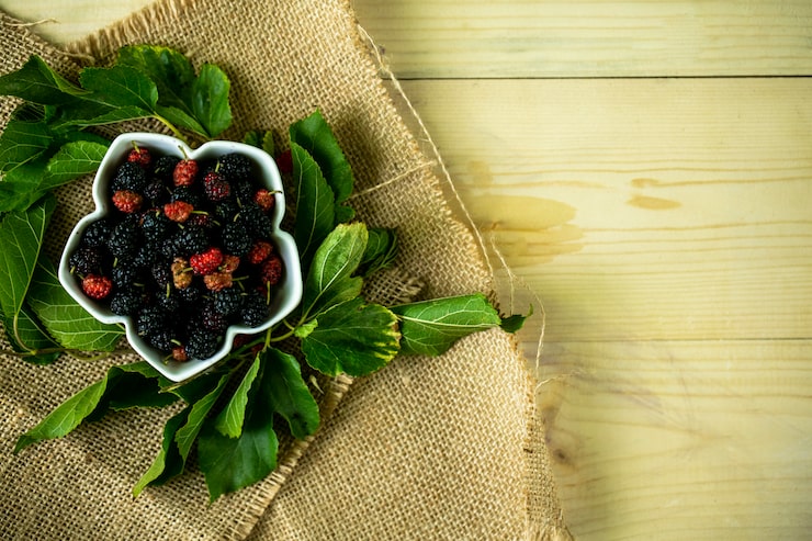 Шелковица: полезные свойства и противопоказания, польза тутовника для женщины lu32lgsol5vj5i8dhr