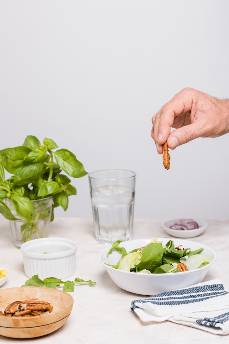 Базилик: полезные лечебные свойства и противопоказания r6u2udgt1s6xyg74o9