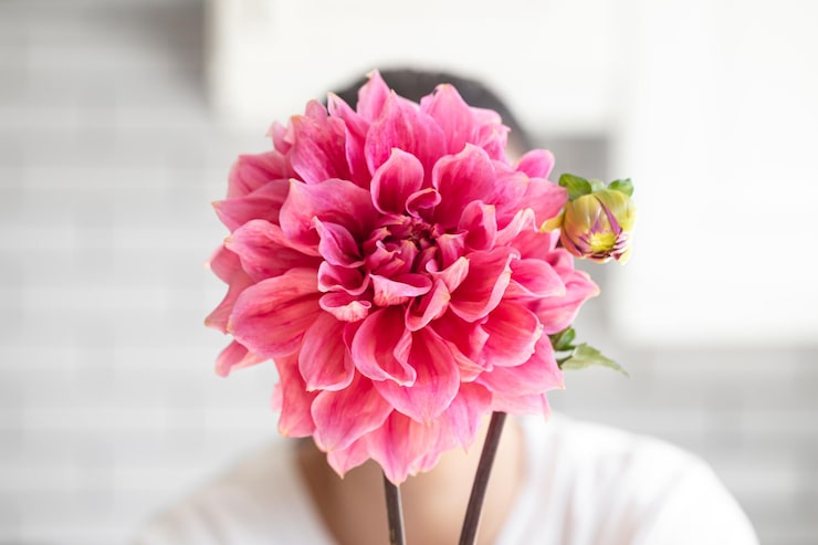 Почему пионы не цветут и как это исправить? y6z36kc01v5bhrtzjm